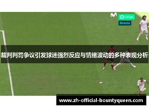 裁判判罚争议引发球迷强烈反应与情绪波动的多种表现分析