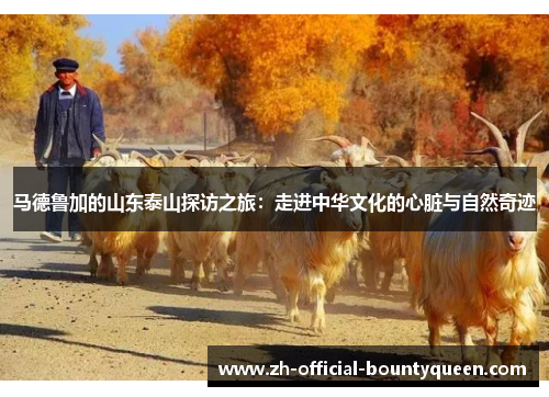 马德鲁加的山东泰山探访之旅：走进中华文化的心脏与自然奇迹